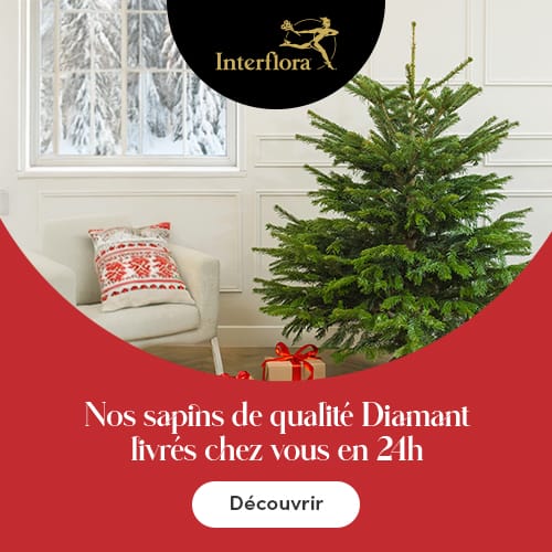 Profitez de la livraison de sapins naturels de qualité diamant, cultivés en France, grâce au réseau Interflora!