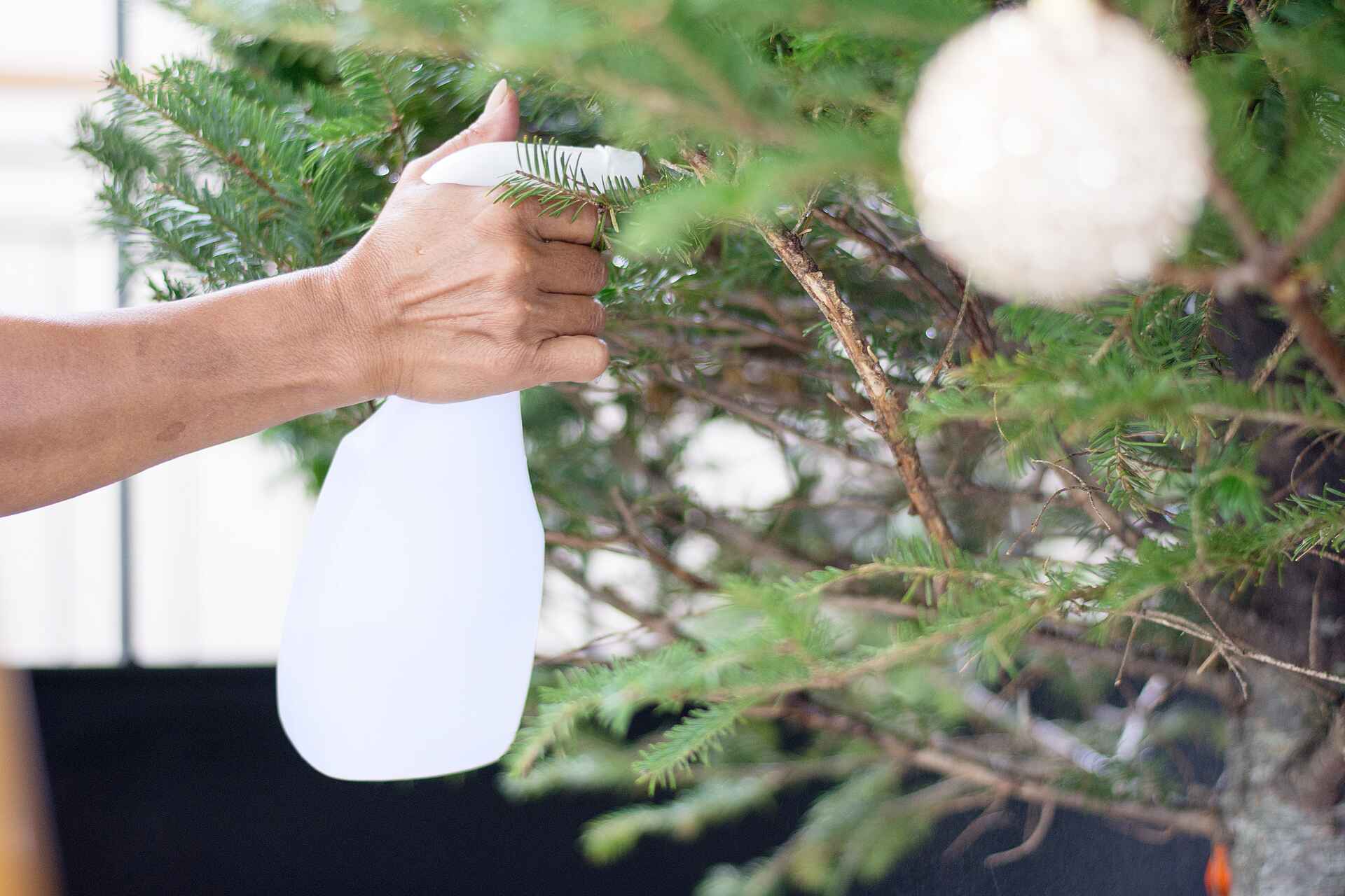 Comment entretenir et bien tailler son sapin de Noël Interflora