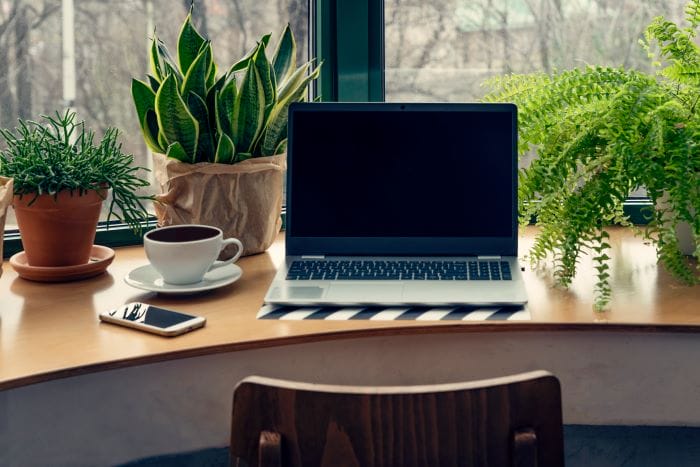 Bienfaits des plantes au bureau