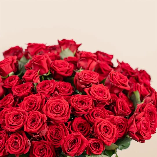 Bouquet de 30 roses rouges