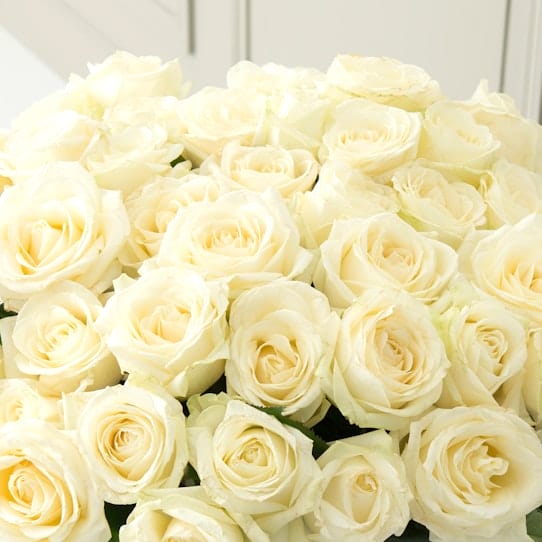 Bouquet de 36 roses blanches