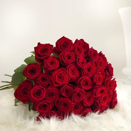 Bouquet de 36 roses rouges