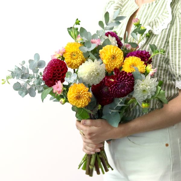 Bouquet de dahlias