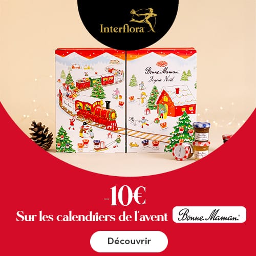 -10€ sur les calendriers Bonne Maman sur le site Interflora