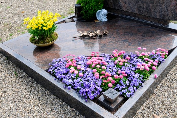 Fleurs printanières pour composition sur tombe