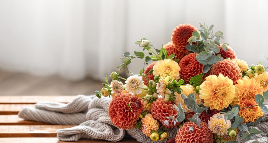 Bouquet de dahlias posé au sol