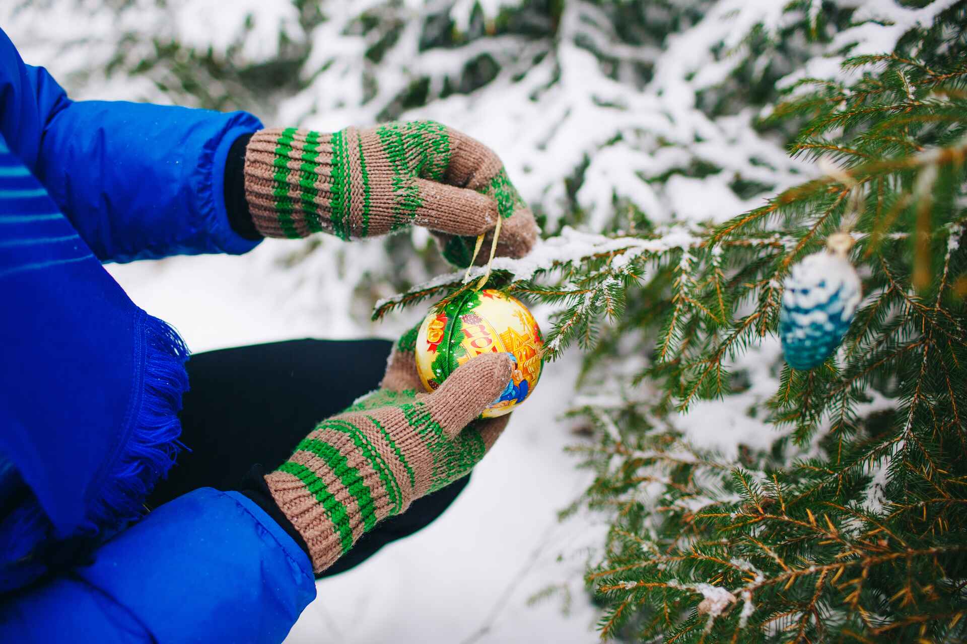 Comment planter ou replanter son sapin de Noël - Interflora