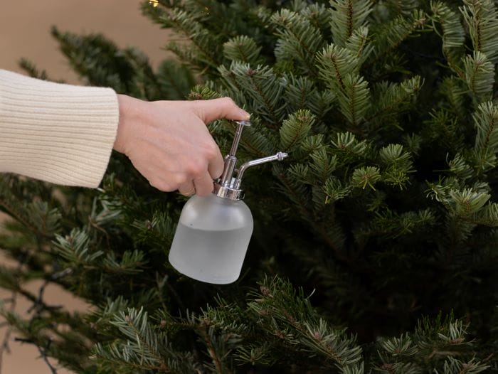 Entretien d'un sapin de Noël naturel