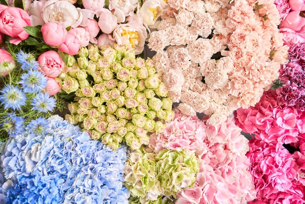 Astuces pour faire durer les fleurs offertes à mamie plus longtemps