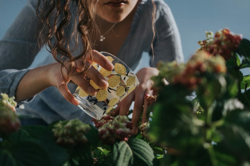 Une personne arrose ses fleurs comestibles