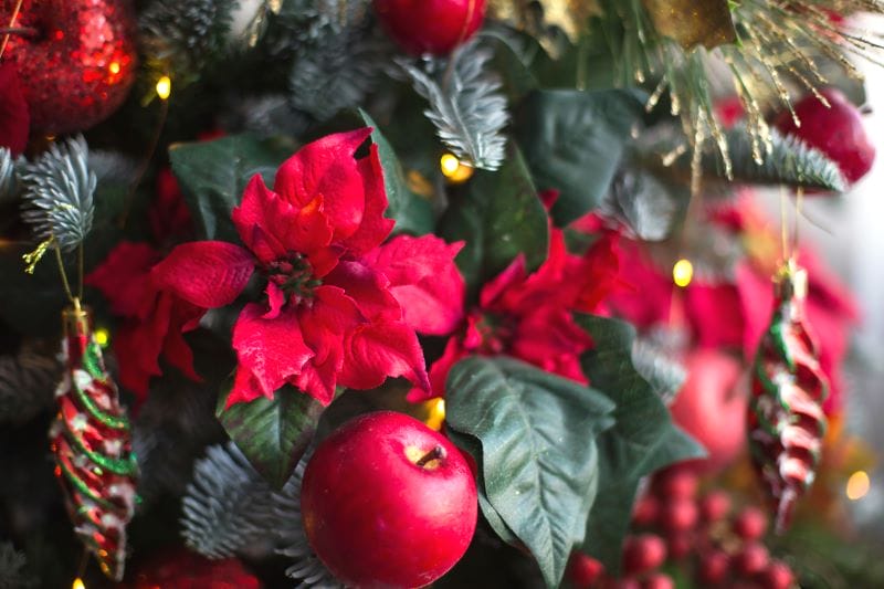 Fleurs pour le sapin