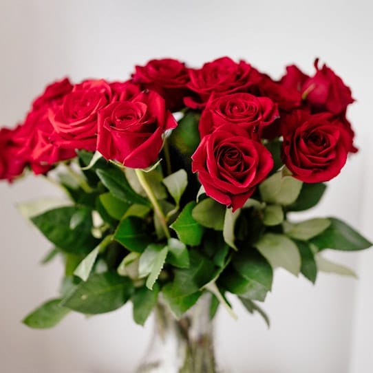 Bouquet de roses rouges