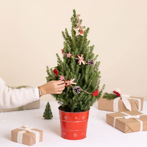 Petit sapin de Noël décoré