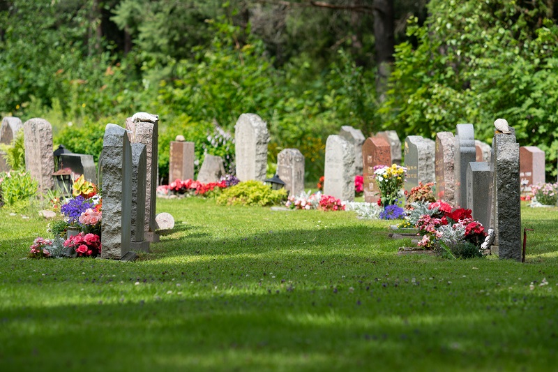 Pots de fleurs et plantes dans un cimetière