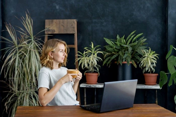 Plantes pour un bureau sans fenêtres