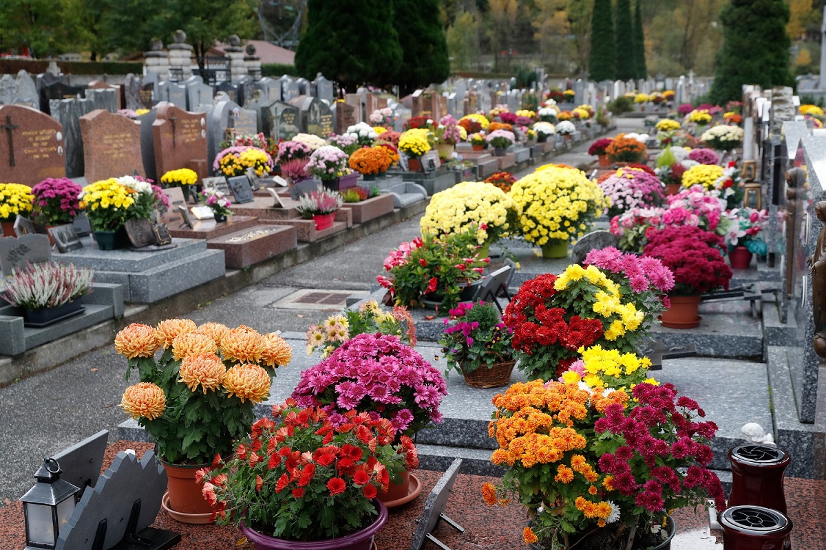 Nombreux bouquets de fleurs et plantes posés sur les tombes dans un cimetière