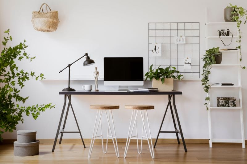 Plantes adaptées pour le bureau