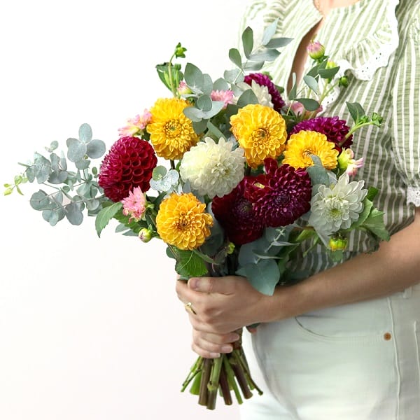 Femme tenant un bouquet de dahlias