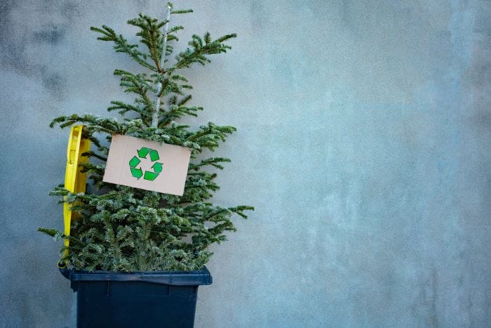 Recycler son sapin