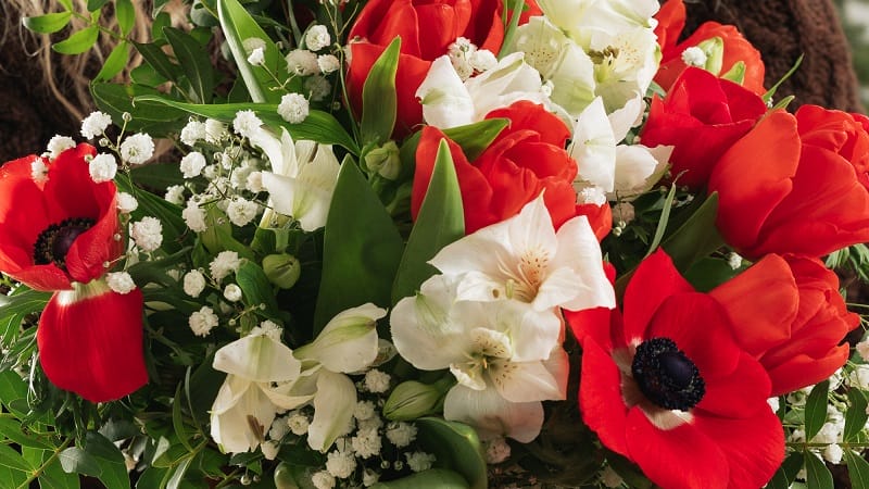 Bouquet de fleurs rouge et blanc